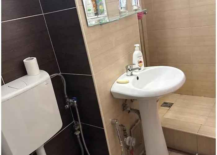 Mirror Of Isho Тімішоара